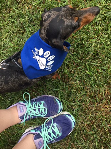 Paws for a Cause 5k | Obesity 